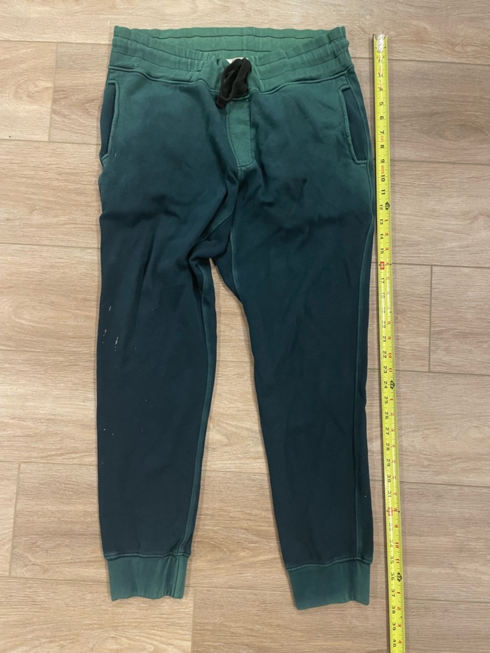 Cotten citizen Green Ombre Jogger Sweatpants medium